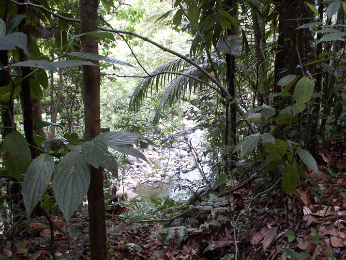 17b - Parc des Mamelles - Marche 008.jpg - DCF 1.0